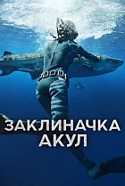 Заклиначка акул