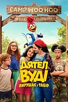 Дятел Вуді вирушає у табір