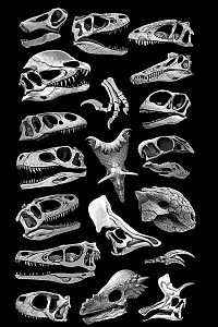 Вулиця Флауервейл